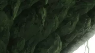 قسمت 7