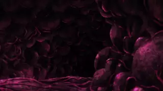 قسمت 5