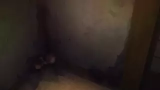 قسمت 6