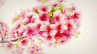 قسمت 2