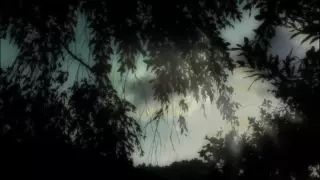 قسمت 299