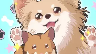 قسمت 11
