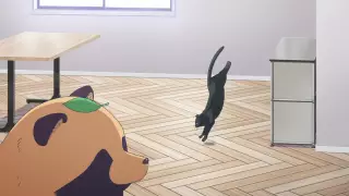 قسمت 6