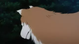 قسمت 24