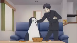 قسمت 5