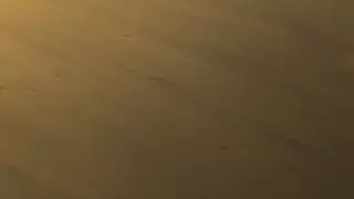 قسمت 157