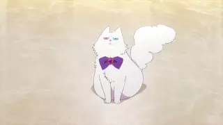 قسمت 6