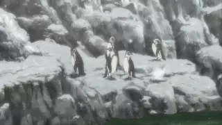 قسمت 13