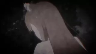 قسمت 19