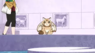 قسمت 6