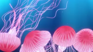 قسمت 4