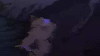 قسمت 12