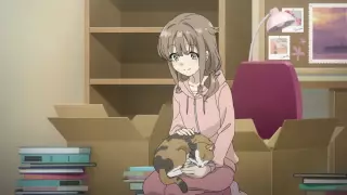 قسمت 13