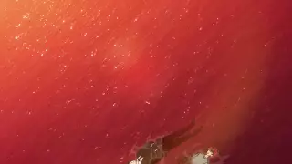 قسمت 14