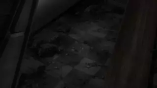 قسمت 16