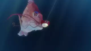 قسمت 6