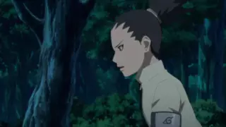 قسمت 113