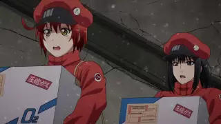 قسمت 13