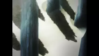 قسمت 110