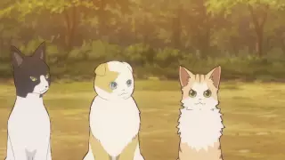 قسمت 6