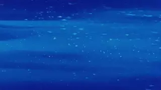 قسمت 277