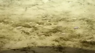 قسمت 2