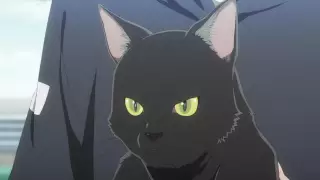قسمت 9